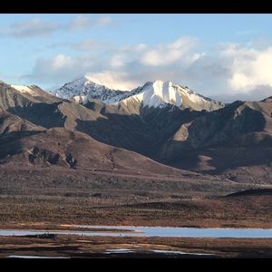 Meet your Posher, Dale